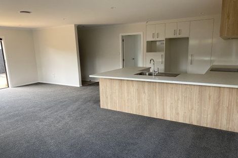 Photo of property in 77a Guy Avenue, Takaro, Palmerston North, 4410