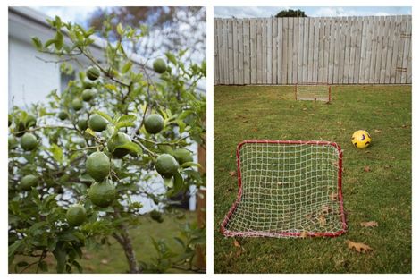 Photo of property in 9 Gordon Street, Te Puke, 3119