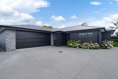 Photo of property in 20b Holloway Street, Waikiwi, Invercargill, 9810