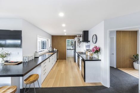 Photo of property in 16 Chimera Street, Pegasus, 7612
