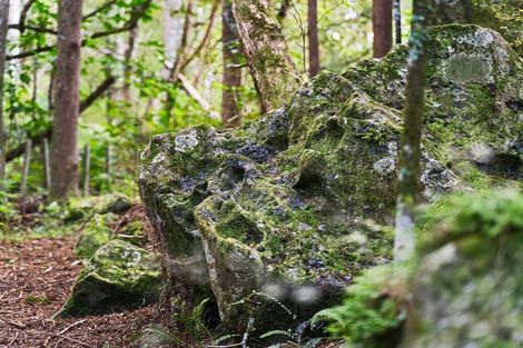 Photo of property in 725a Otaika Valley Road, Maungatapere, Whangarei, 0170
