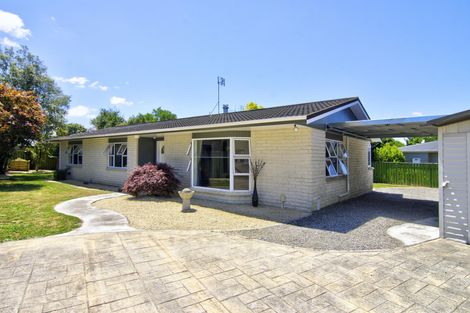 Photo of property in 8a Tararua Street, Masterton, 5810