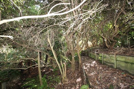 Photo of property in 63 Martin Road, Fairfield, Dunedin, 9018