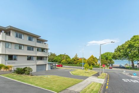 Photo of property in 3/15 Sixth Avenue, Tauranga, 3110