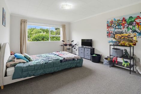Photo of property in 105 Oxford Street, Ashhurst, 4810