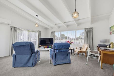Photo of property in 133 Tiro Tiro Road, Levin, 5510