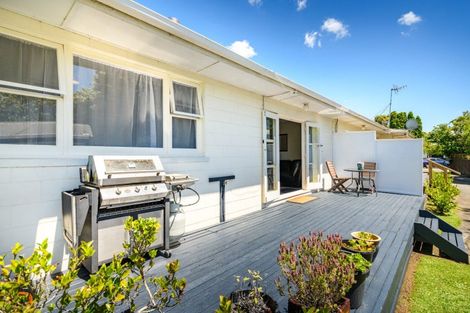 Photo of property in 34b Heatley Avenue, Hokowhitu, Palmerston North, 4410