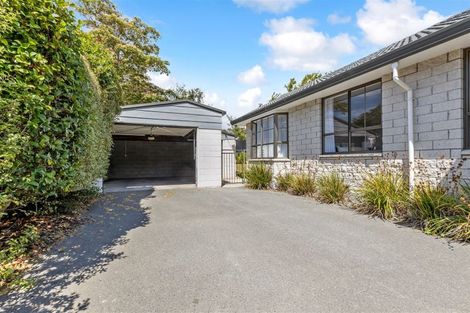 Photo of property in 58 Palatine Terrace, Saint Martins, Christchurch, 8022