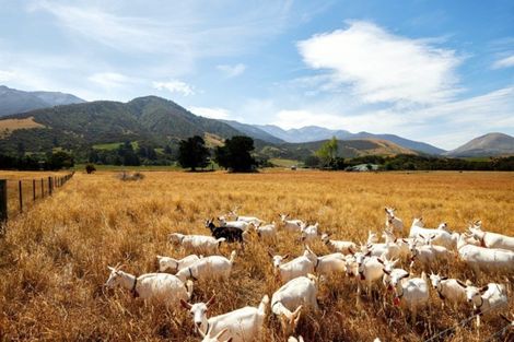 Photo of property in 235b Bay Paddock Road, Hapuku, Kaikoura, 7371