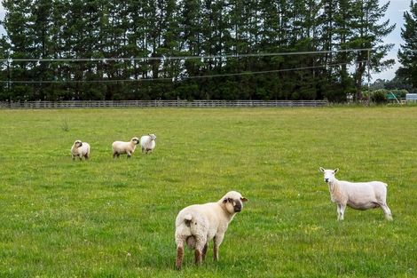 Photo of property in 349 Norfolk Road, Waingawa, Carterton, 5791