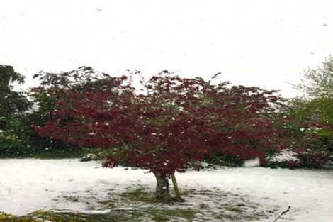 Photo of property in 32 Forest Street, Tapanui, 9522