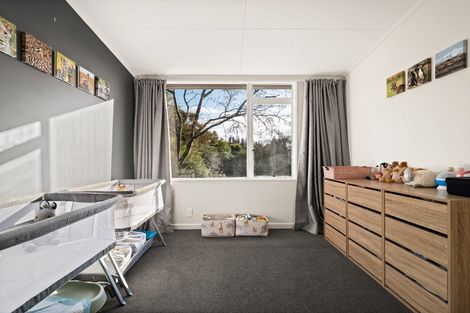 Photo of property in 163 Sidey Street, Calton Hill, Dunedin, 9012