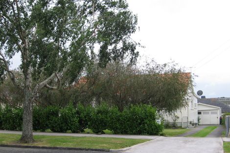 Photo of property in 32 Tasman Avenue, Mount Albert, Auckland, 1025