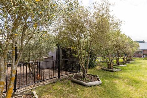 Photo of property in 52 Rarangi, Rarangi, Blenheim, 7273