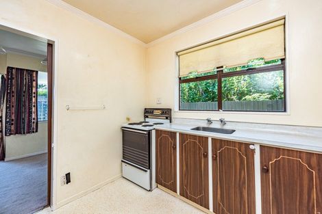 Photo of property in 20a Parkes Avenue, Saint Johns Hill, Whanganui, 4501