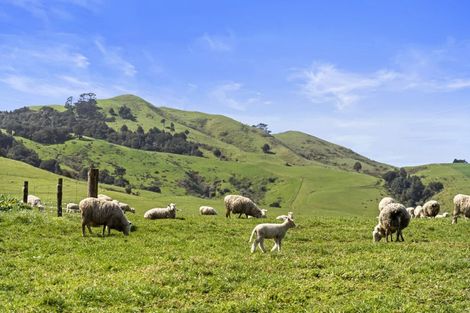 Photo of property in 255 Razorback Road, Bombay, 2472