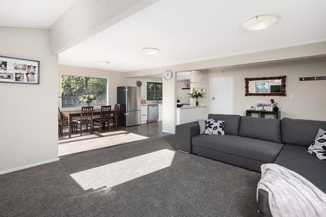 Photo of property in 50a Millers Road, Brookfield, Tauranga, 3110