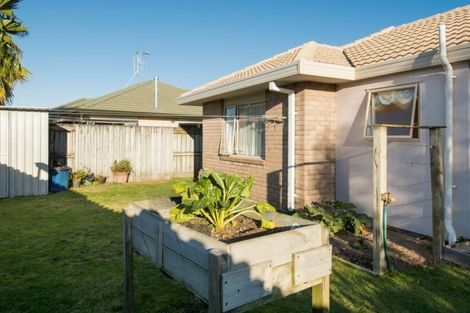 Photo of property in 6 Poinsettia Place, Mount Maunganui, 3116