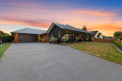 Photo of property in 29 Kaimai Drive, Matamata, 3400