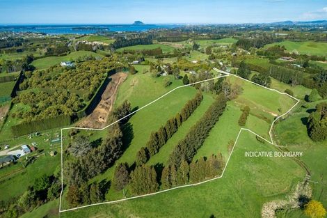 Photo of property in 48d Youngson Road, Whakamarama, 3180