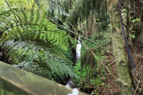 Photo of property in 52 Cordelia Street, Stratford, 4332