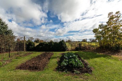 Photo of property in 10 Menzies Place, Paeroa, 3600