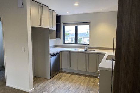 Photo of property in 87 Burke Street, Addington, Christchurch, 8024