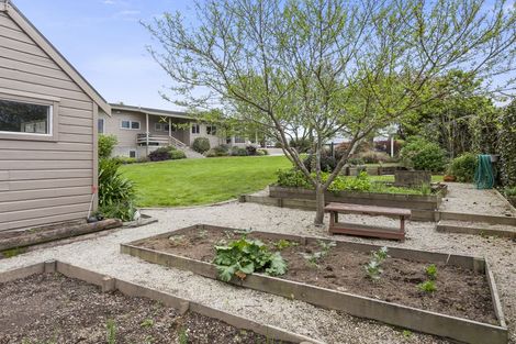 Photo of property in 19 Banks Road, Matamata, 3400