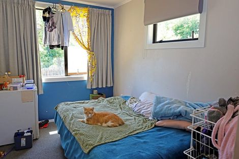 Photo of property in 38a Parsonage Road, Lawrence, 9532