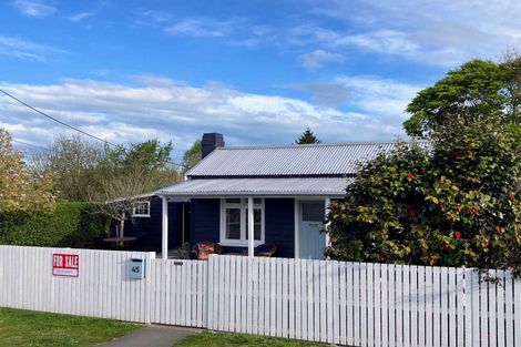 Photo of property in 45 Majors Road, Geraldine, 7930