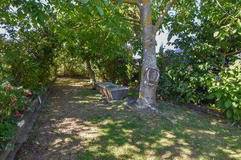 Photo of property in 26 Armstrong Avenue, Carterton, 5713