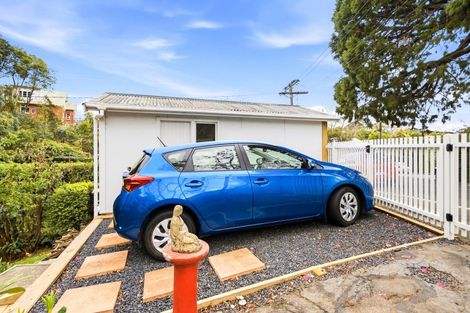 Photo of property in 41 Littlebourne Road, Roslyn, Dunedin, 9010