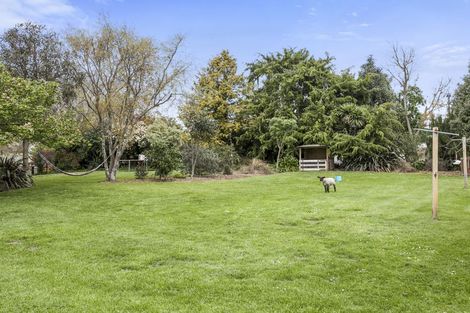 Photo of property in 19 Banks Road, Matamata, 3400