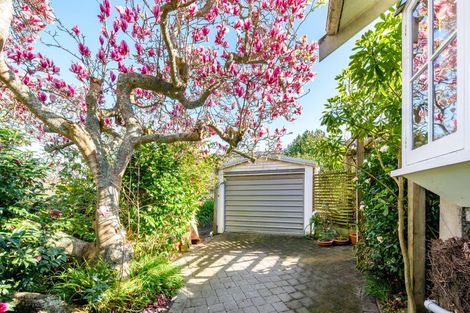 Photo of property in 17 Te Aroha Street, Hamilton East, Hamilton, 3216