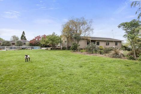 Photo of property in 19 Banks Road, Matamata, 3400