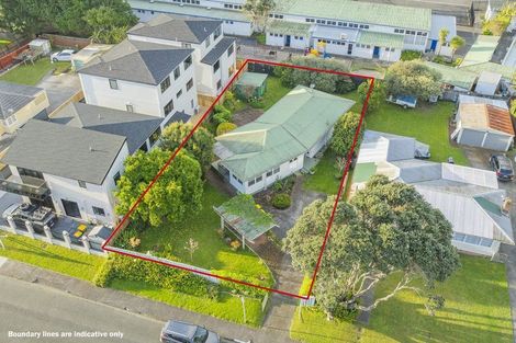 Photo of property in 67 Te Kanawa Crescent, Henderson, Auckland, 0610