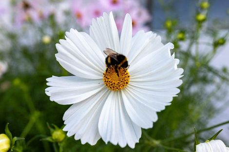 Photo of property in 15 Towers Street, Paeroa, 3600