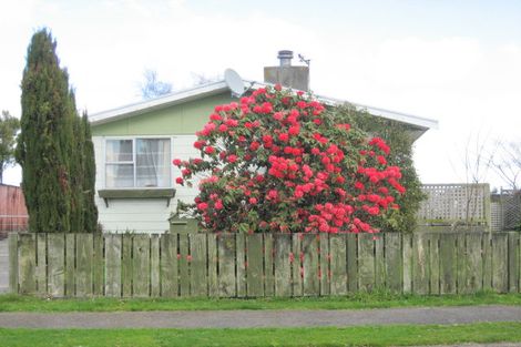 Photo of property in 79 Strathmore Avenue, Levin, 5510