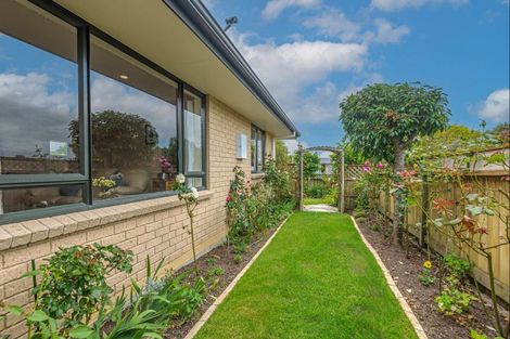 Photo of property in 115 Denbigh Street, Feilding, 4702