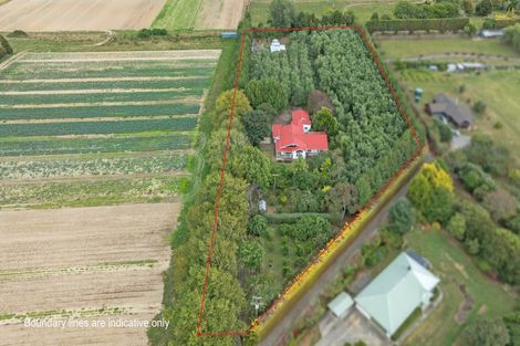 Photo of property in 49 Joblins Road, Levin, 5571