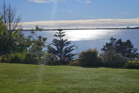 Photo of property in 31 Te Hono Street, Maungatapu, Tauranga, 3112