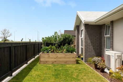 Photo of property in 79 Dunkeld Drive, Papamoa, 3118