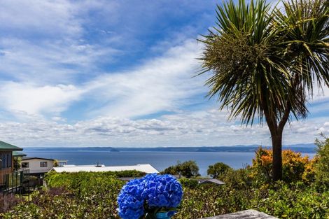 Photo of property in 23 Turangitukua Terrace, Kuratau, Turangi, 3381