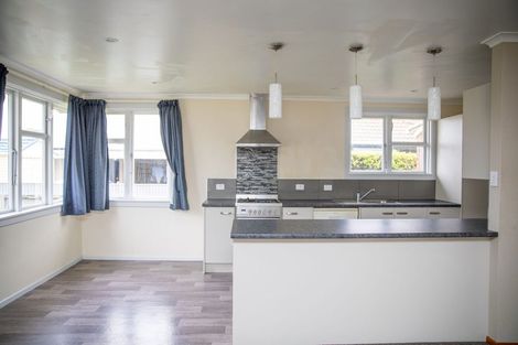 Photo of property in 15 Sword Street, Gore, 9710