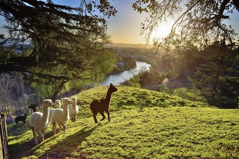 Photo of property in 48 Hauroa Road, Whataupoko, Gisborne, 4010