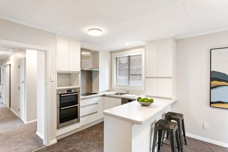 Photo of property in 111 Centennial Avenue, Helensburgh, Dunedin, 9010