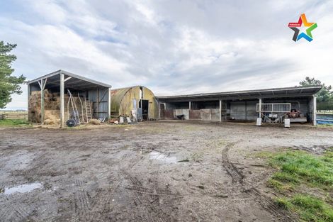 Photo of property in 492 Lorne Dacre Road, Roslyn Bush, Invercargill, 9876