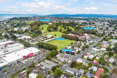 Photo of property in 655 Mount Albert Road, Royal Oak, Auckland, 1023