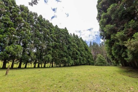 Photo of property in 37 Shirley Road, Waipapa, Kerikeri, 0295