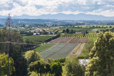 Photo of property in 191 Aniseed Valley Road, Aniseed Valley, Richmond, 7081